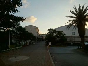 okinawa13
