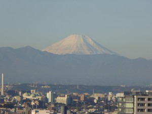 fuji