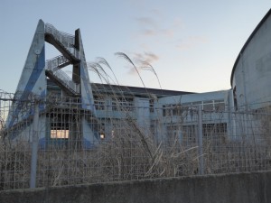 fukushima23