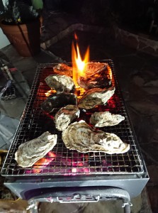 oyster8